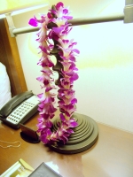 lei-bibble