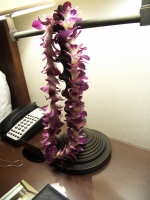 lei-capture1