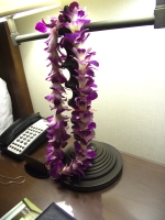 lei-rawdev