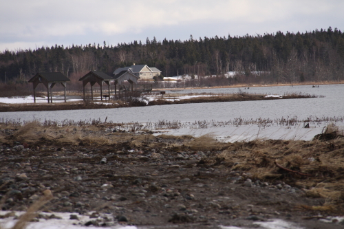 flooded marsh