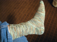 white birch socks