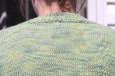 back neck detail