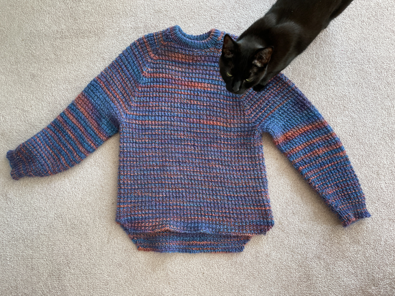 Cat on a finished sweater